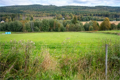 Törsta 102