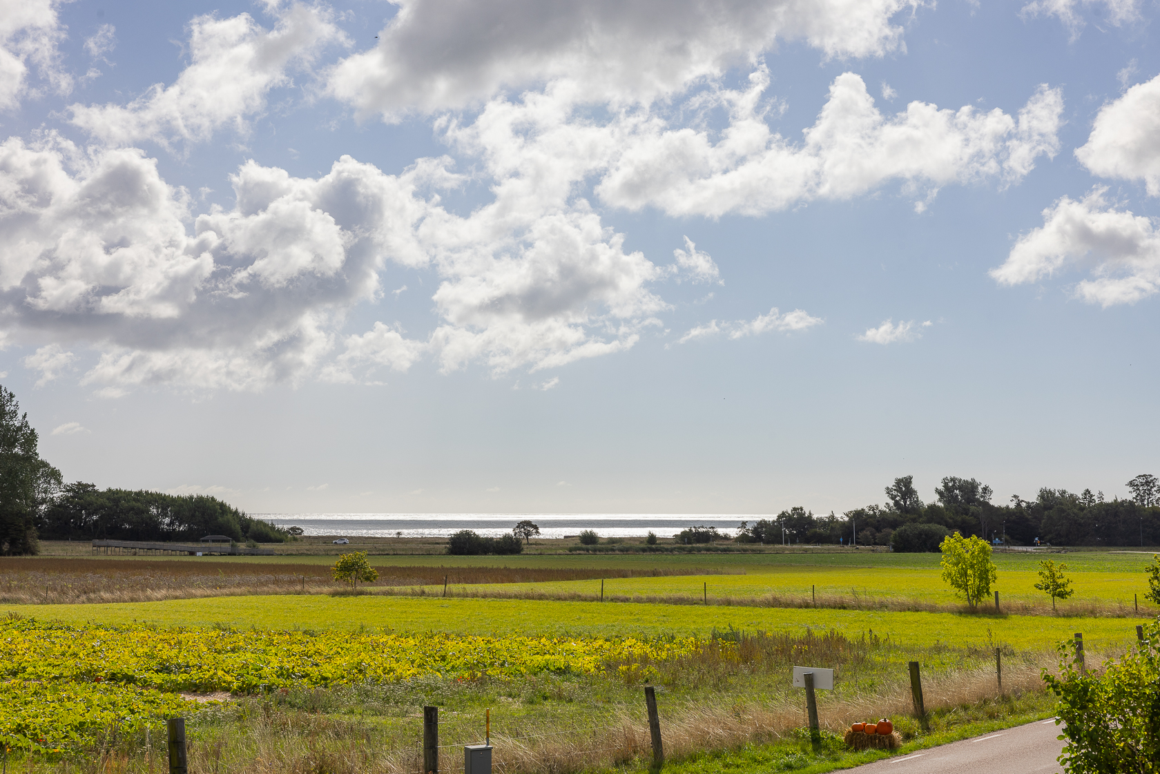 sön 18/10 – bild 27