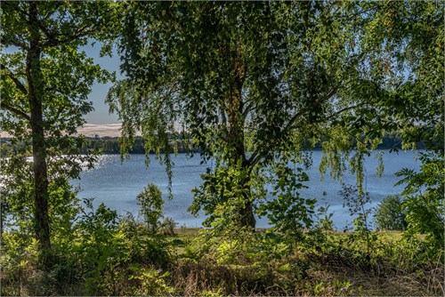 Gunvarbyn 11