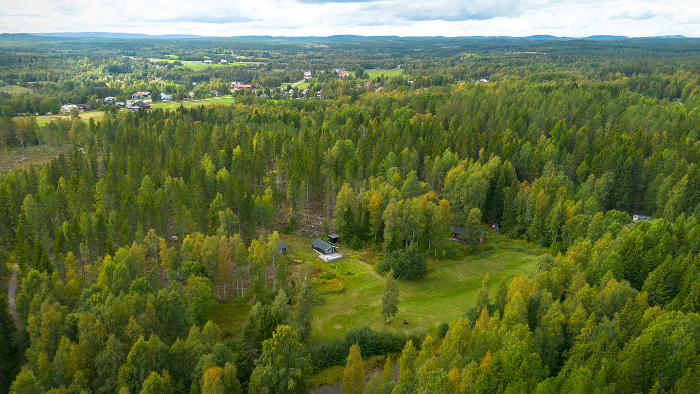 sön 11/10 – bild 22