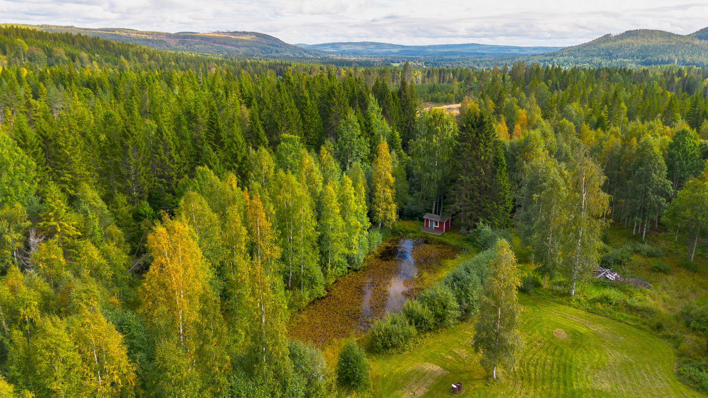 sön 11/10 – bild 10