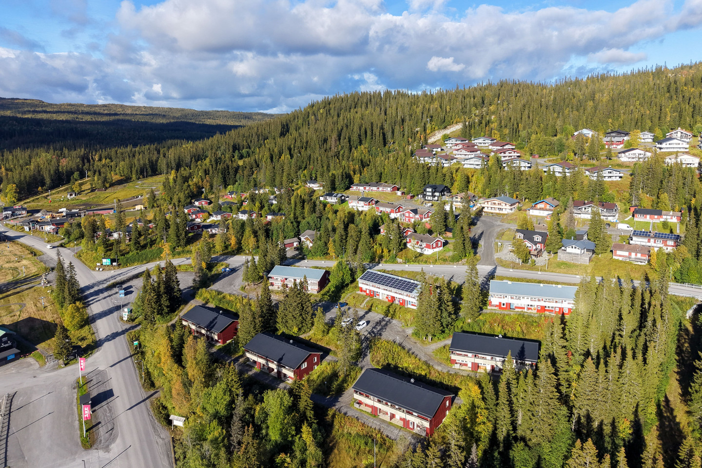 Björnen Renen 3C – bild 29