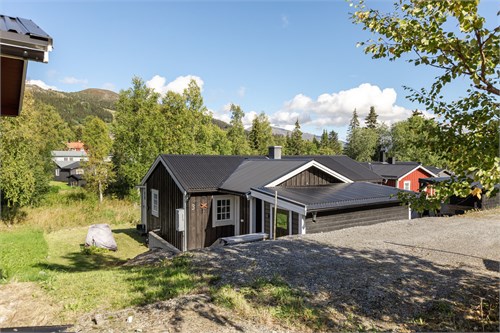Forsa Fjällby Björnen 3