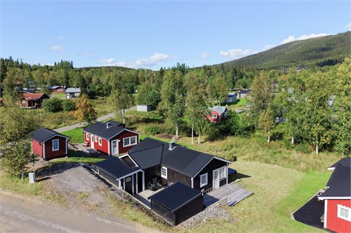 Forsa Fjällby Björnen 3