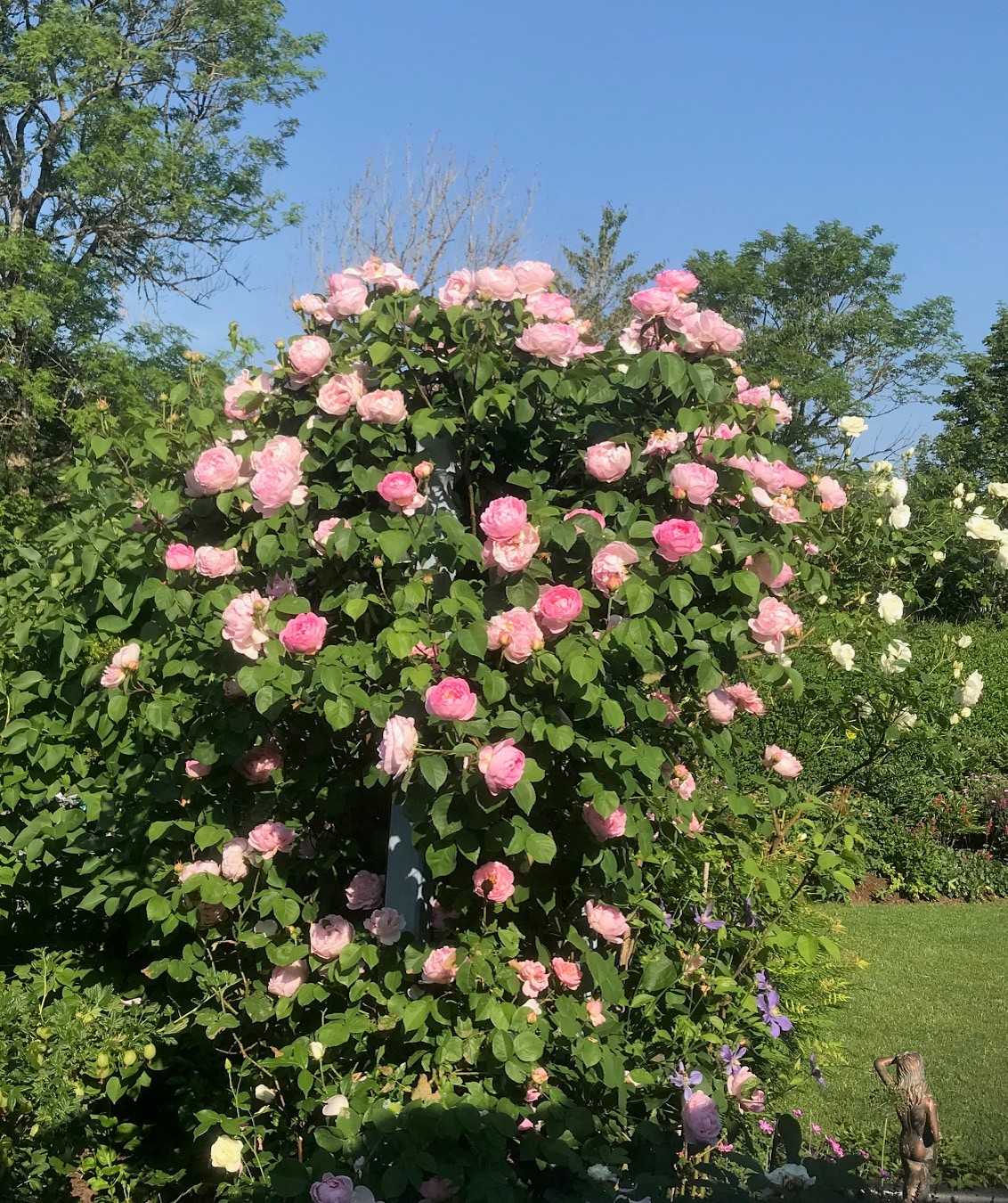 sön 11/10 – bild 40