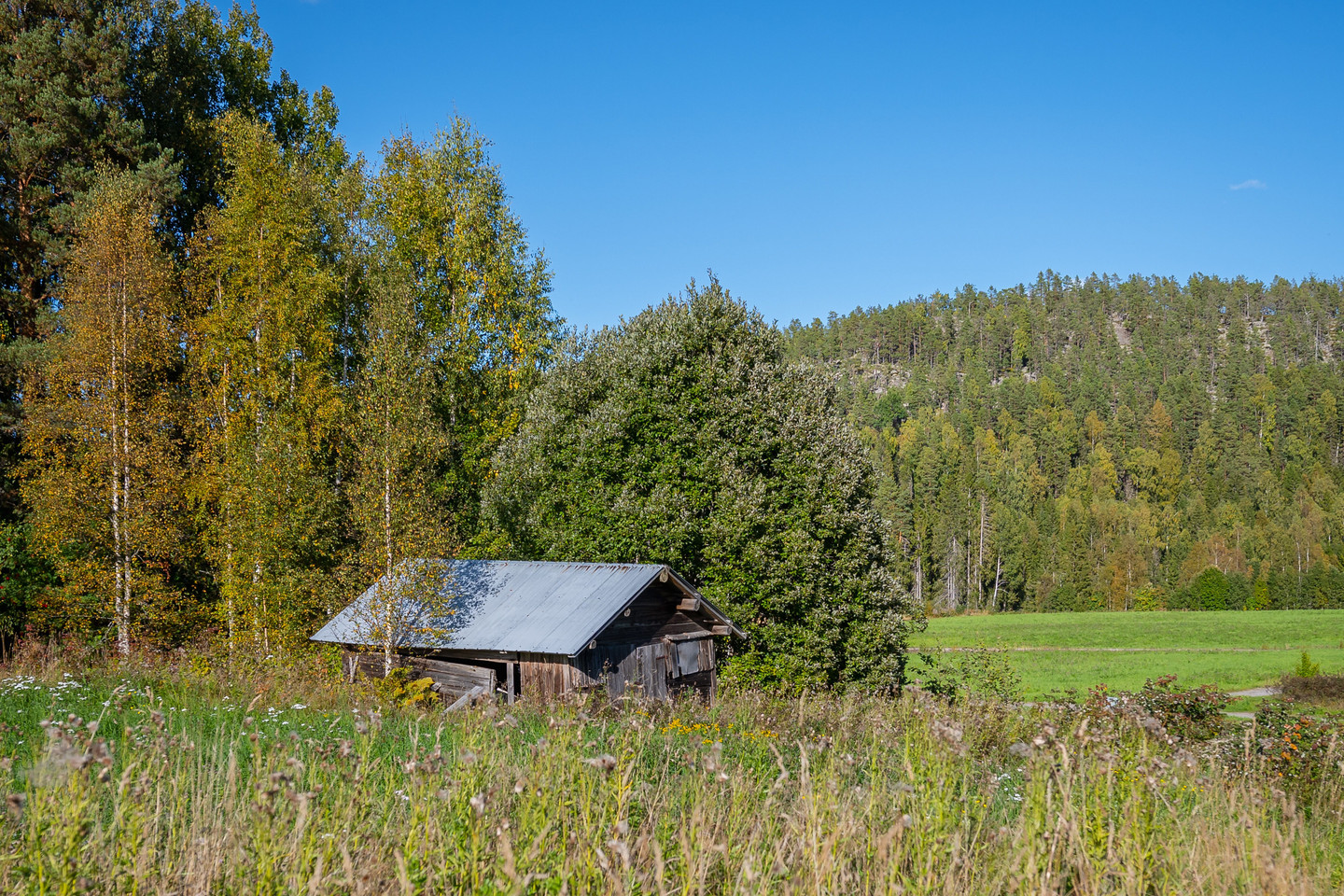 sön 4/10 – bild 17