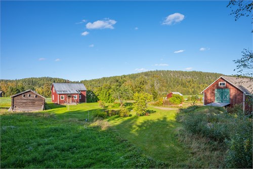 Gåltjärn 211