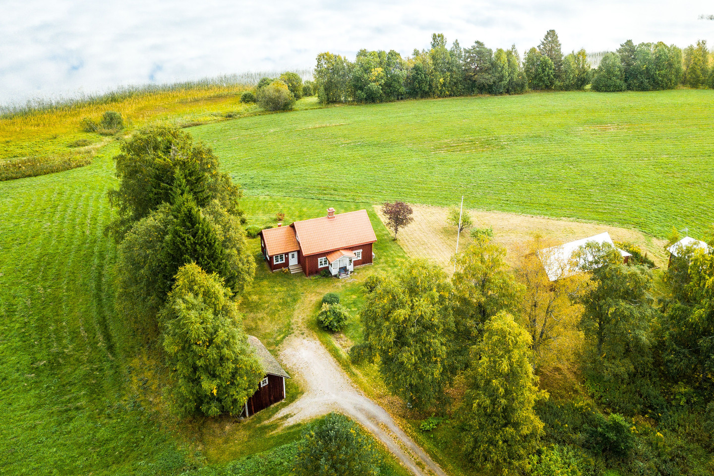 Se fler – bild 42