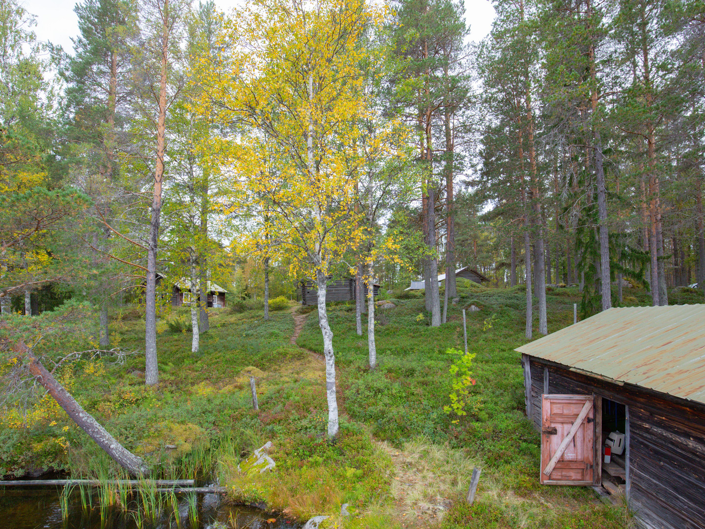 sön 4/10 – bild 34