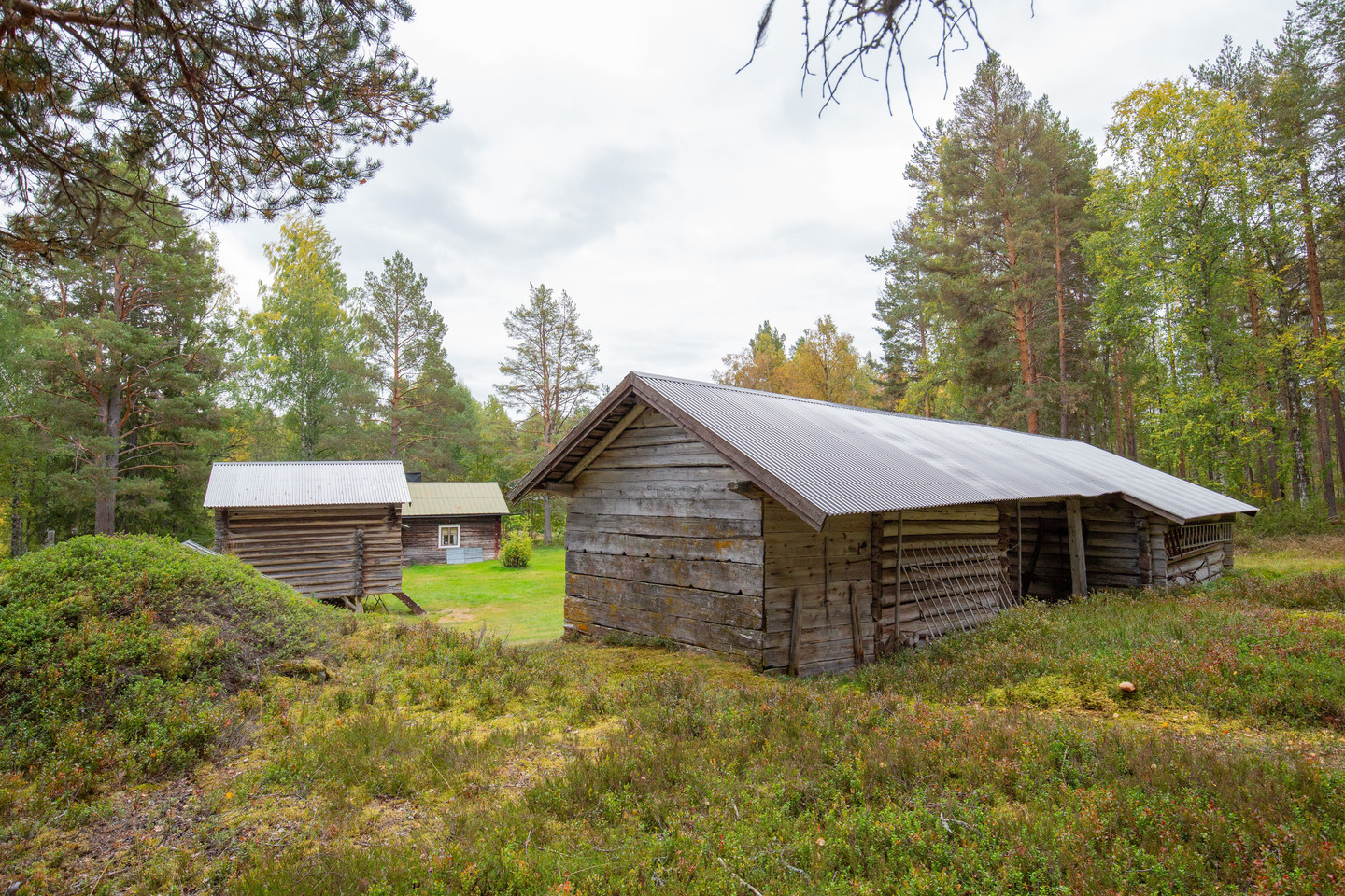 sön 4/10 – bild 39