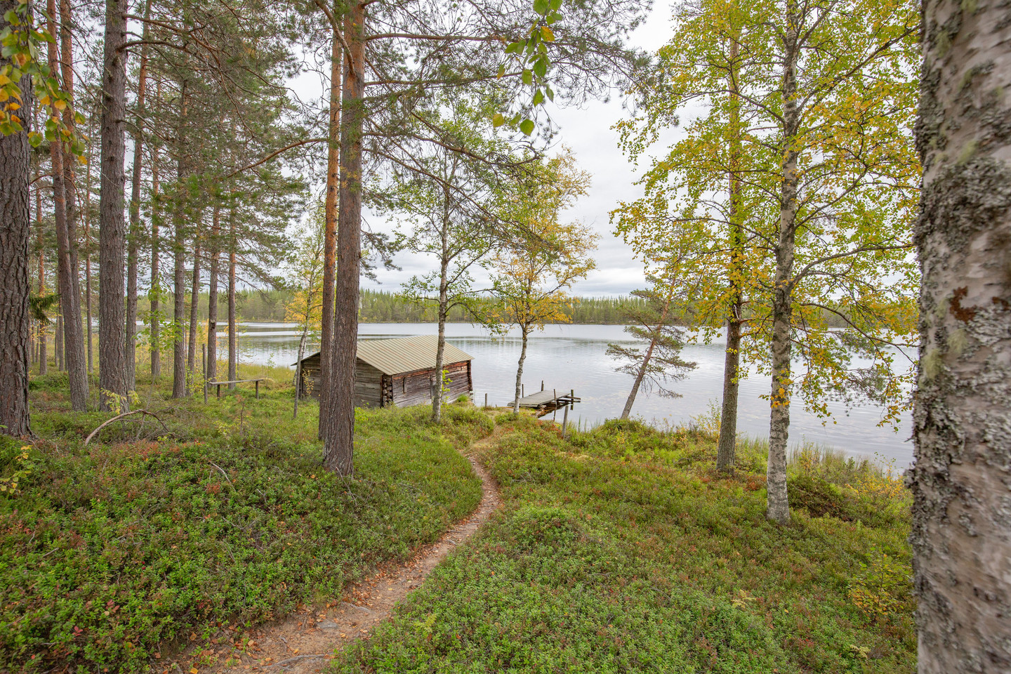 sön 4/10 – bild 43