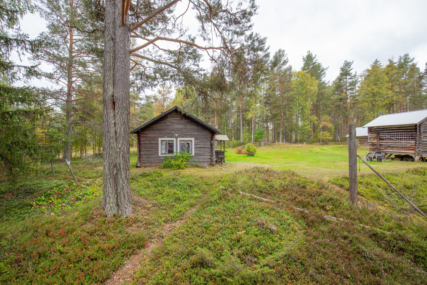 sön 4/10 – bild 46