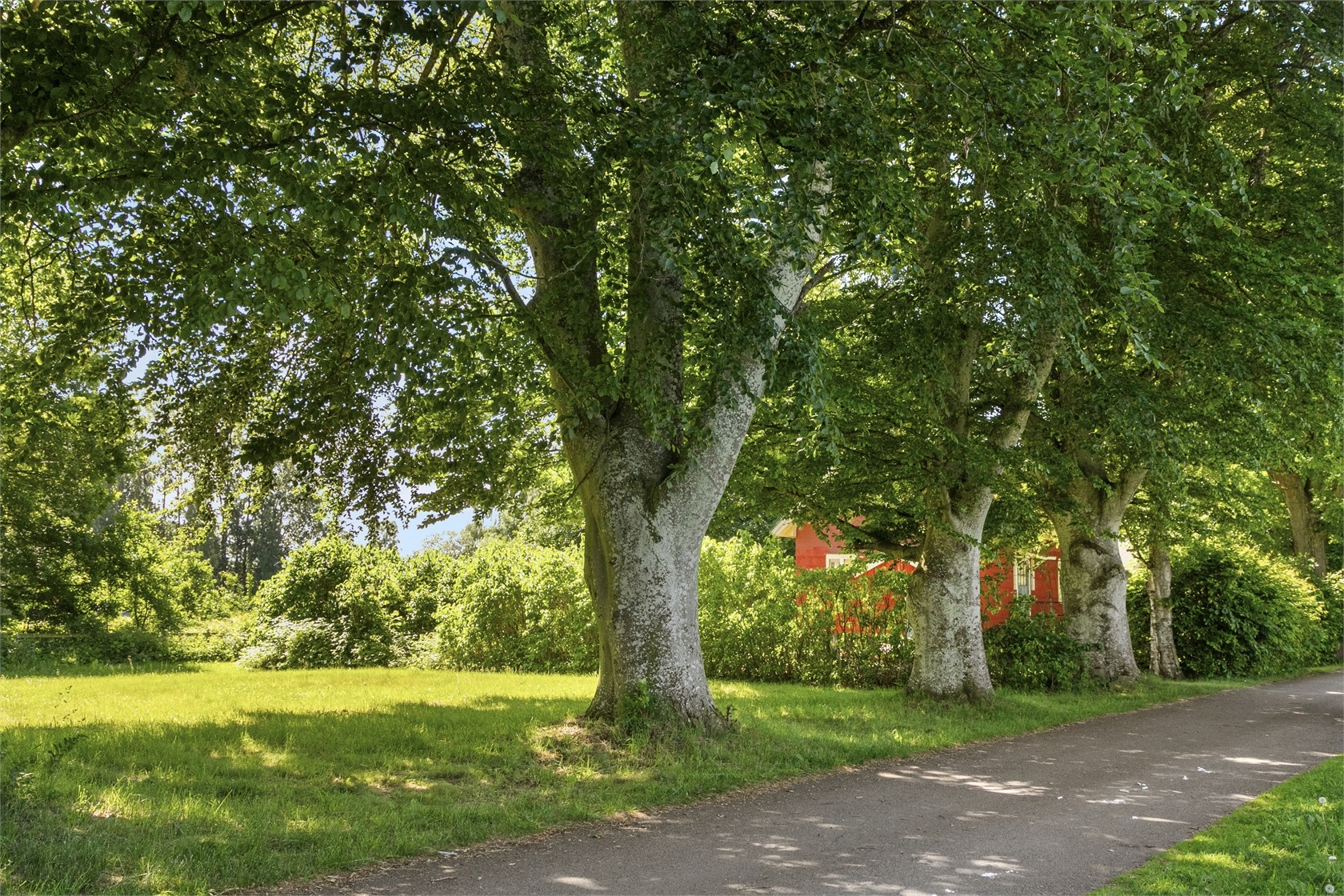 På gång – bild 2
