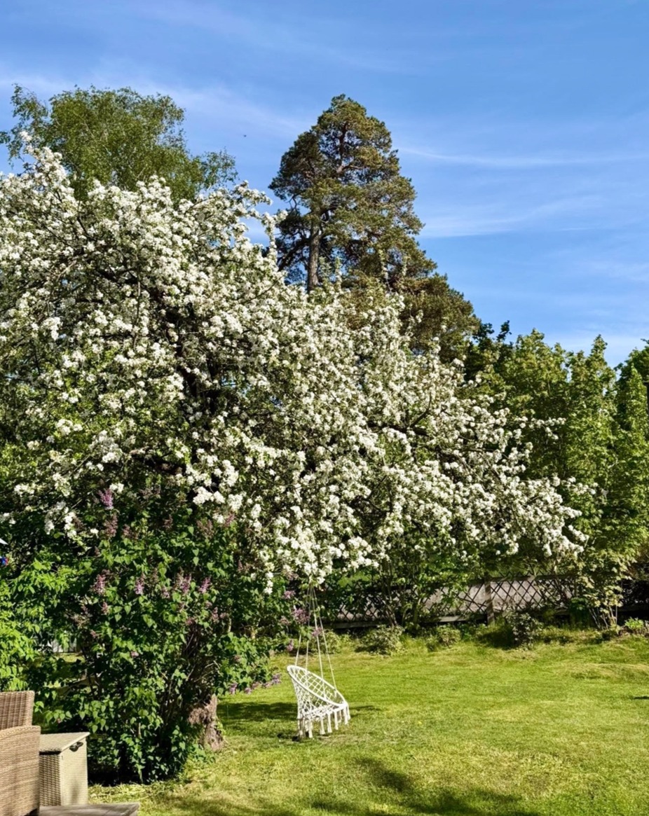 På gång – bild 16