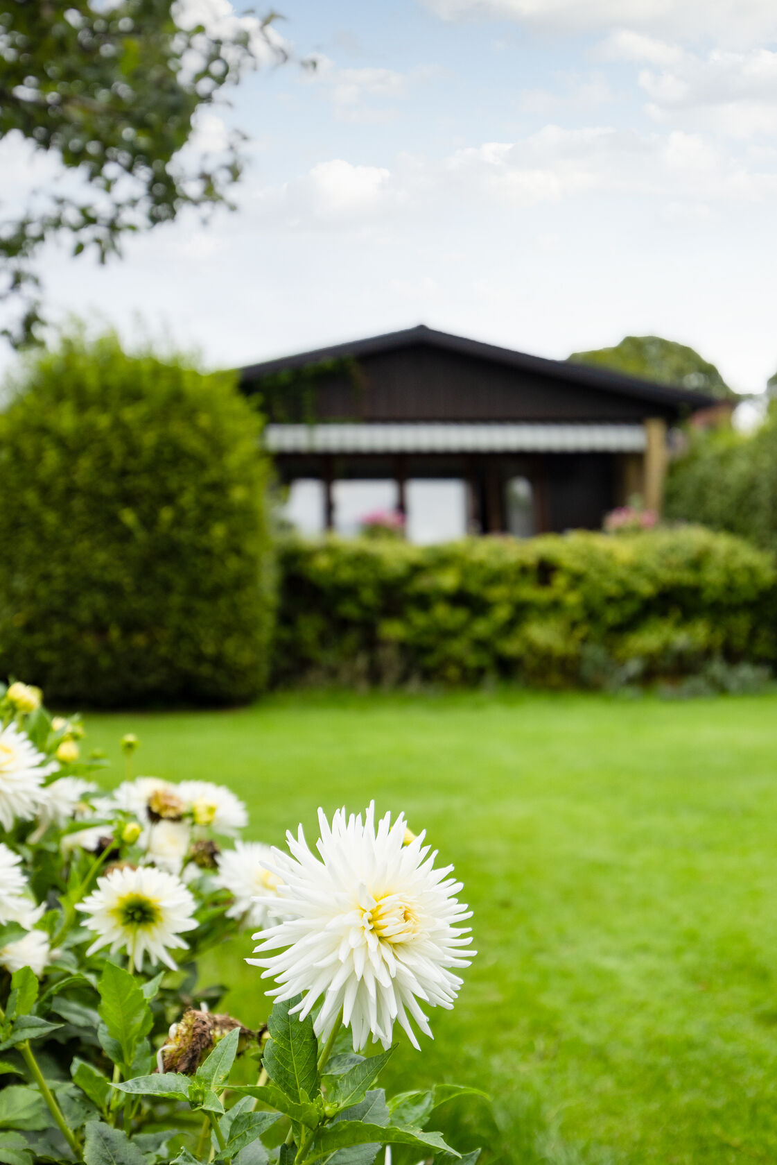 Budgivning pågår – bild 30