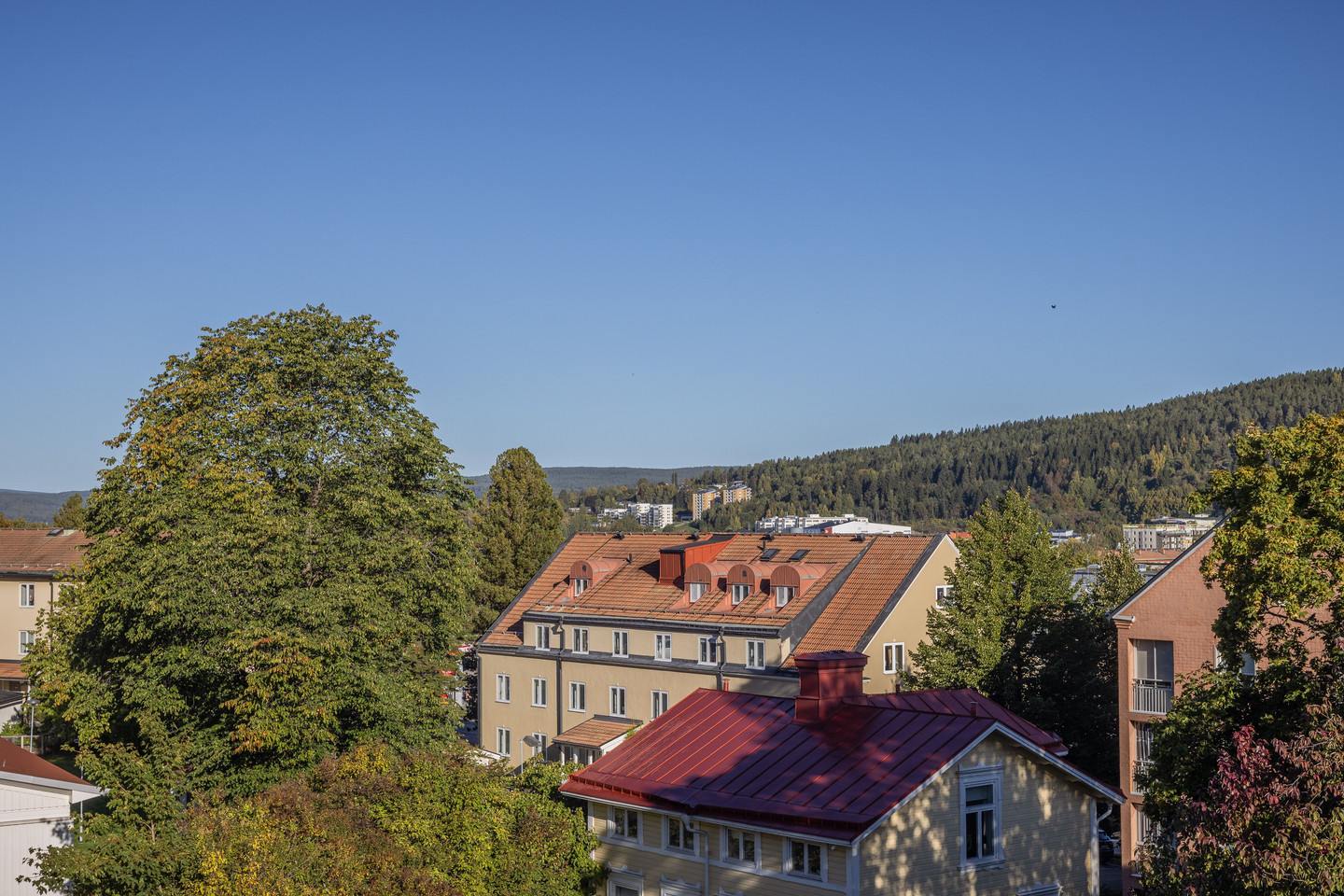 tors 15/10 – bild 30