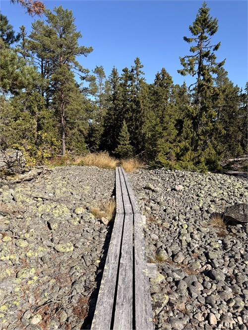 Spångar till huset