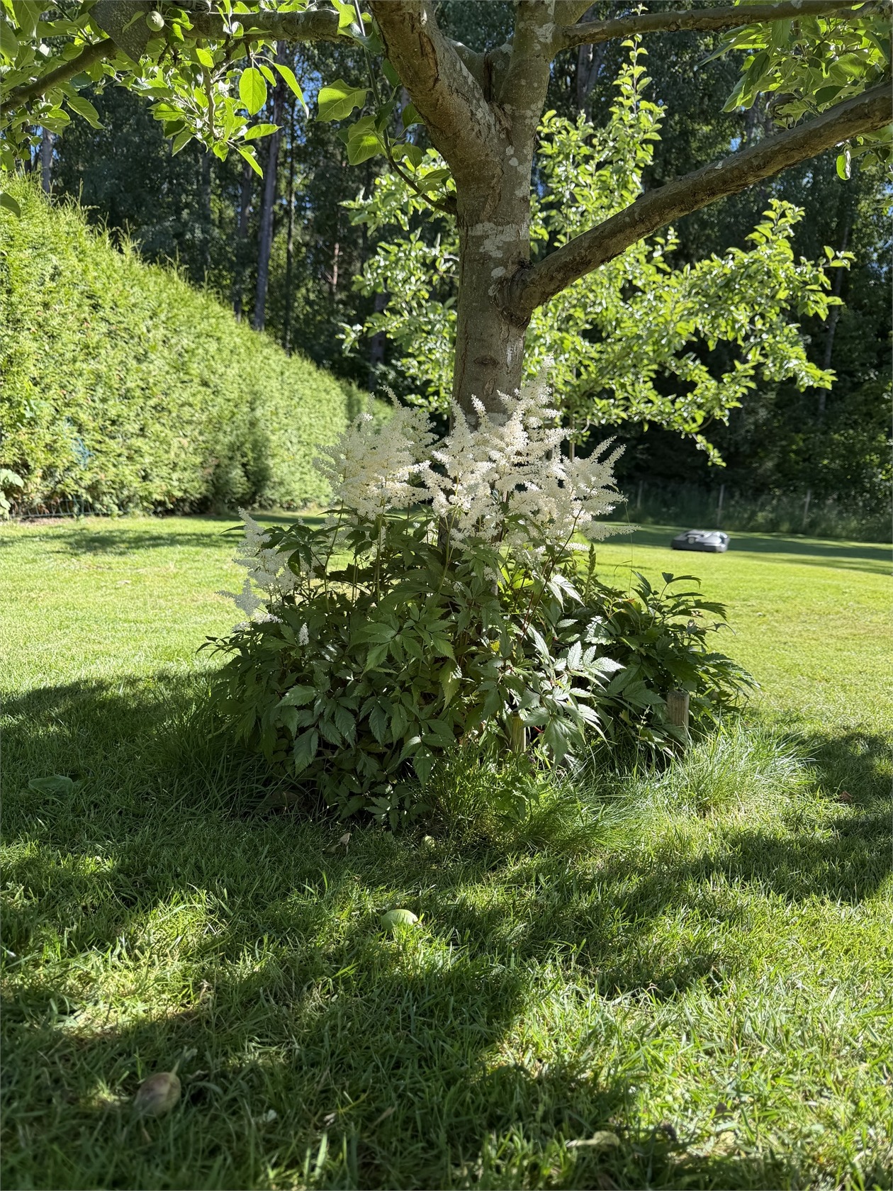 lör 3/10 – bild 9