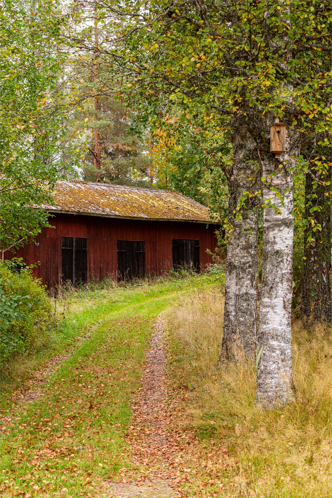 På gång – bild 48