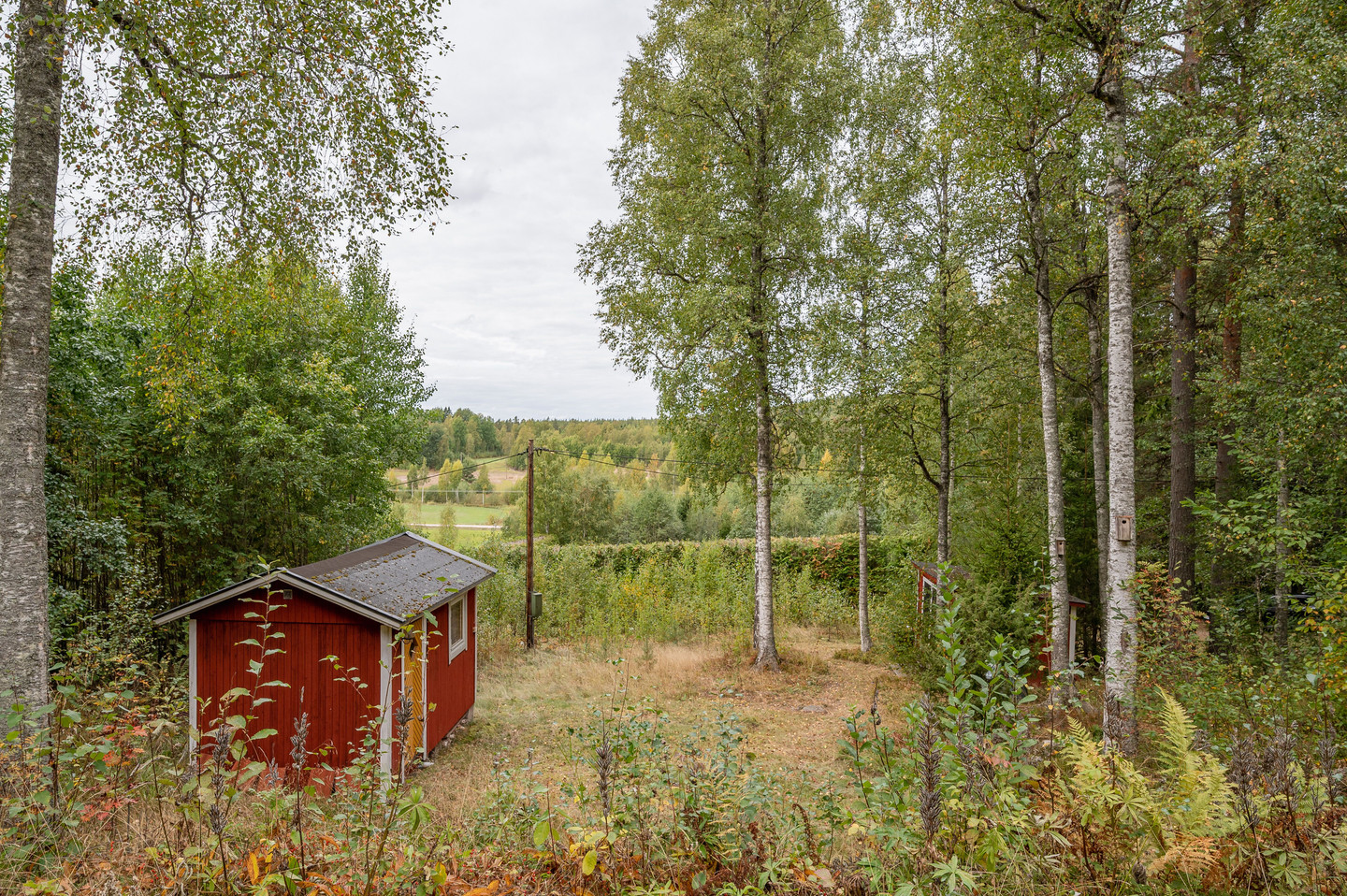 lör 26/9 – bild 31