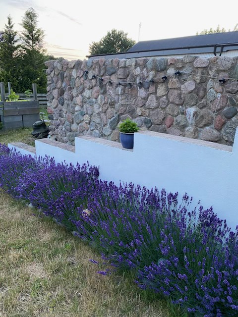 lör 3/10 – bild 19