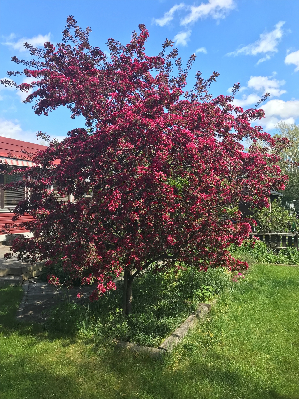 sön 27/9 – bild 33