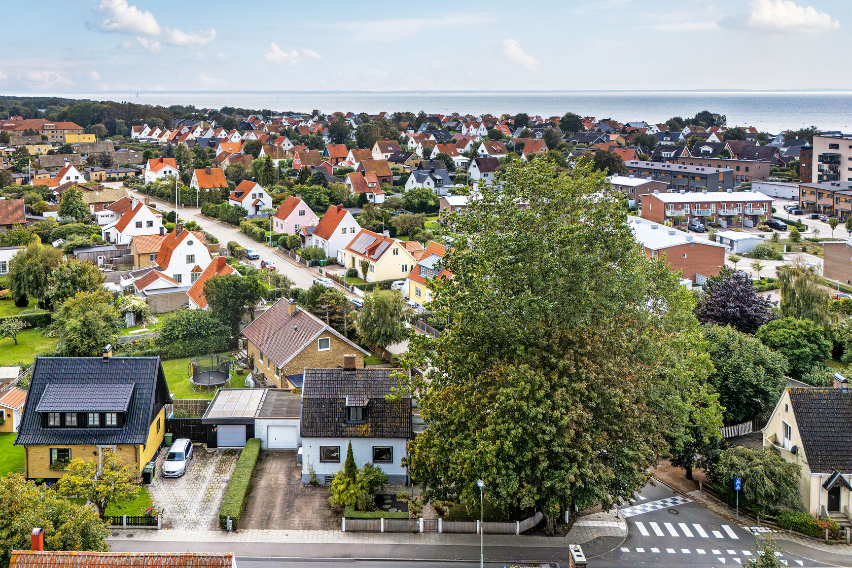 tis 6/10 – bild 5