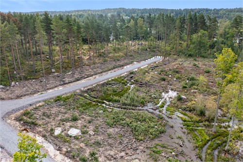 Skogsharevägen 3