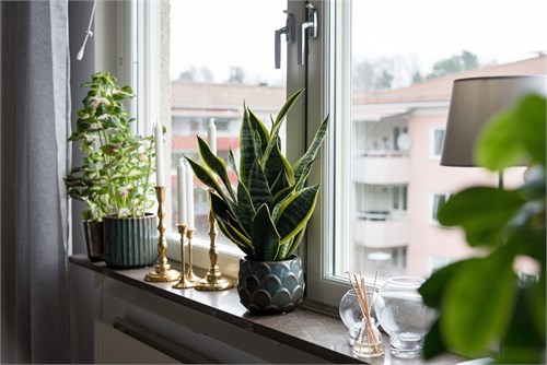 KNOTAVÄGEN 36