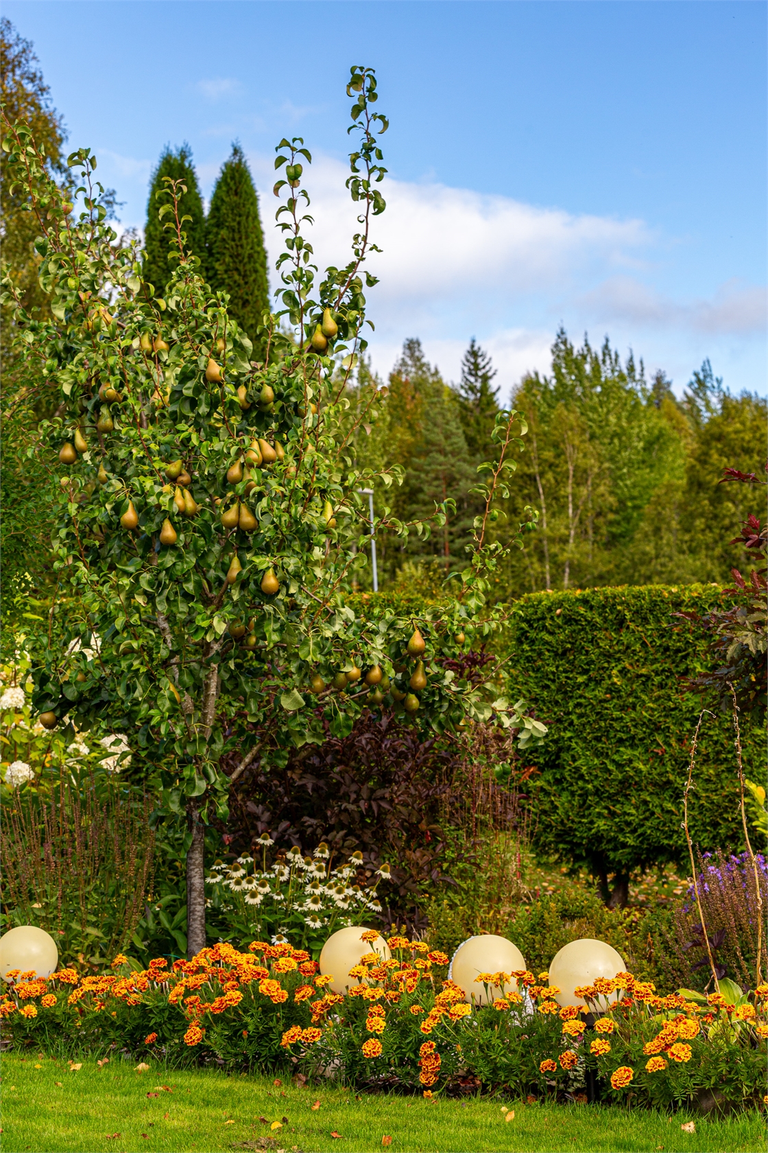 På gång – bild 30
