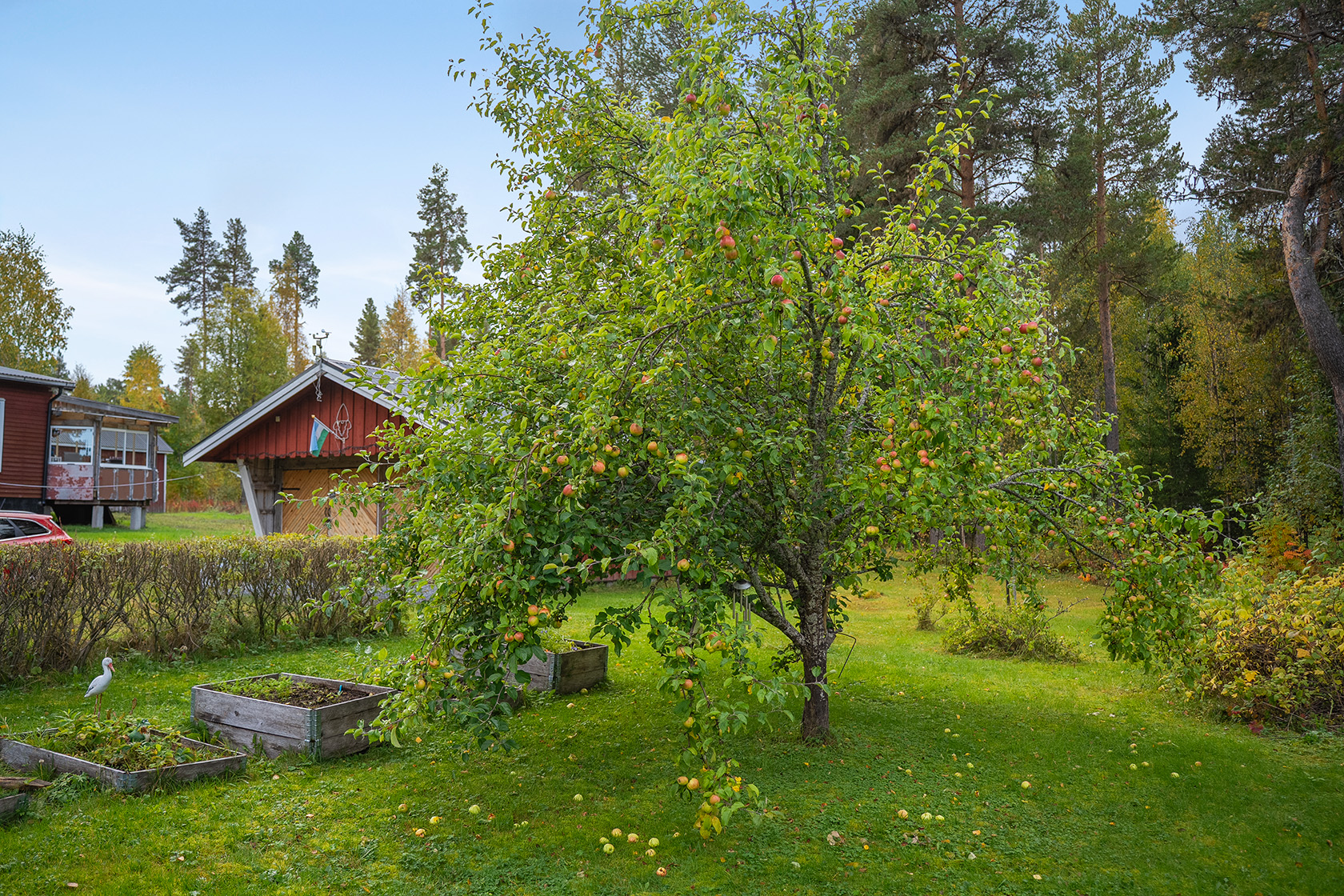 På gång – bild 8