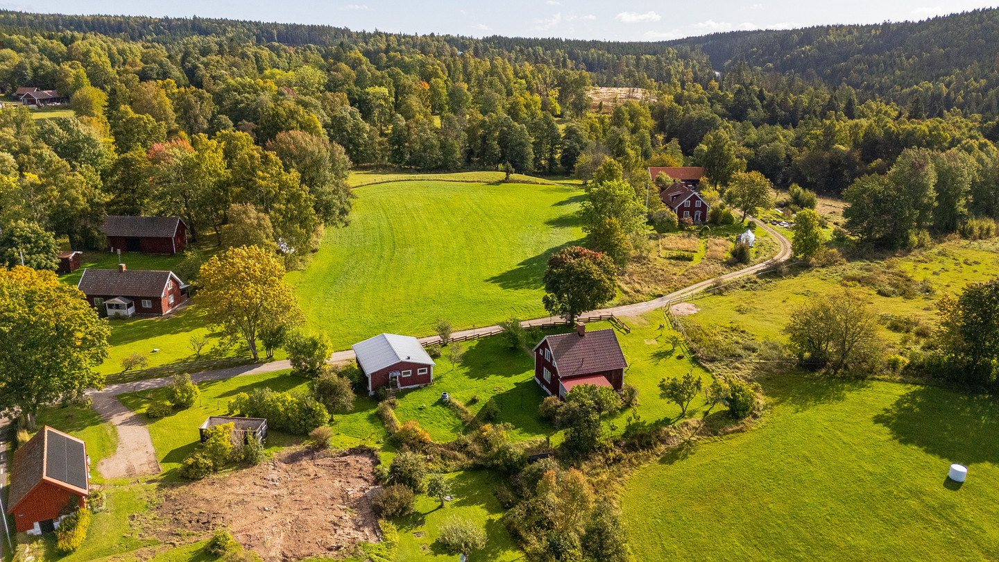 tors 1/10 – bild 7