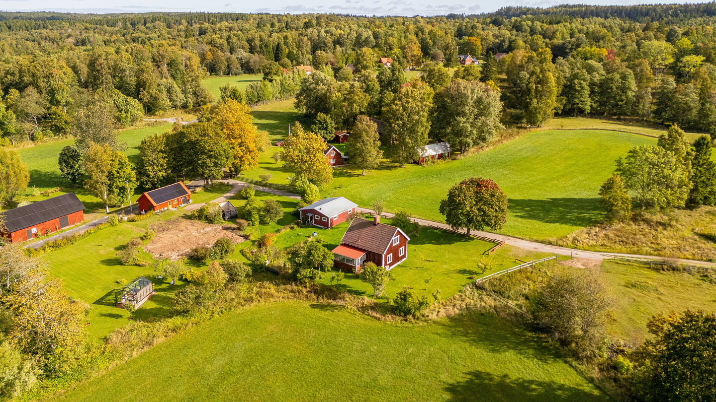 tors 1/10 – bild 2