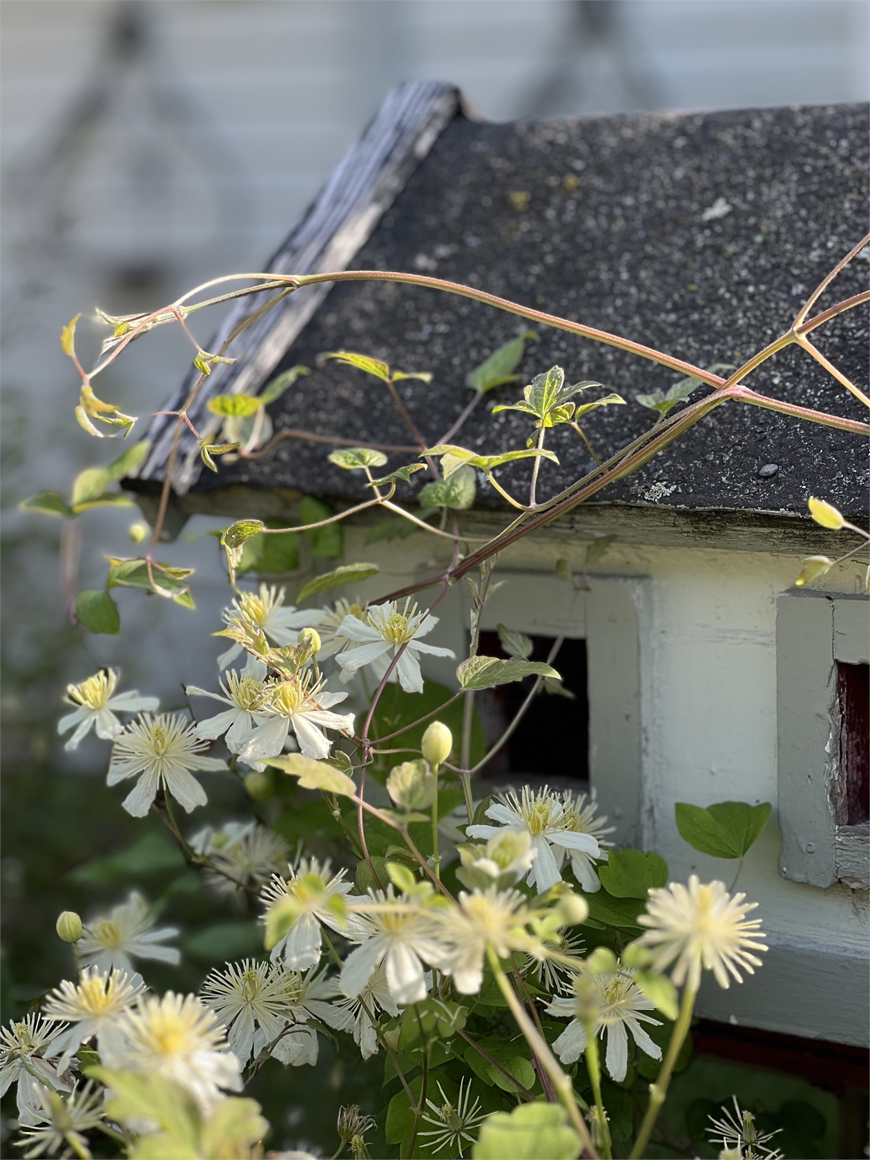 tors 24/9 – bild 22