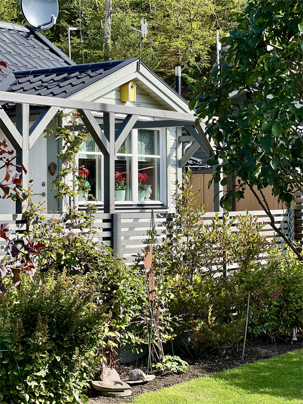 tors 24/9 – bild 25