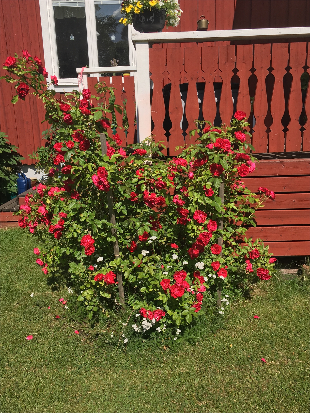 fre 2/10 – bild 43