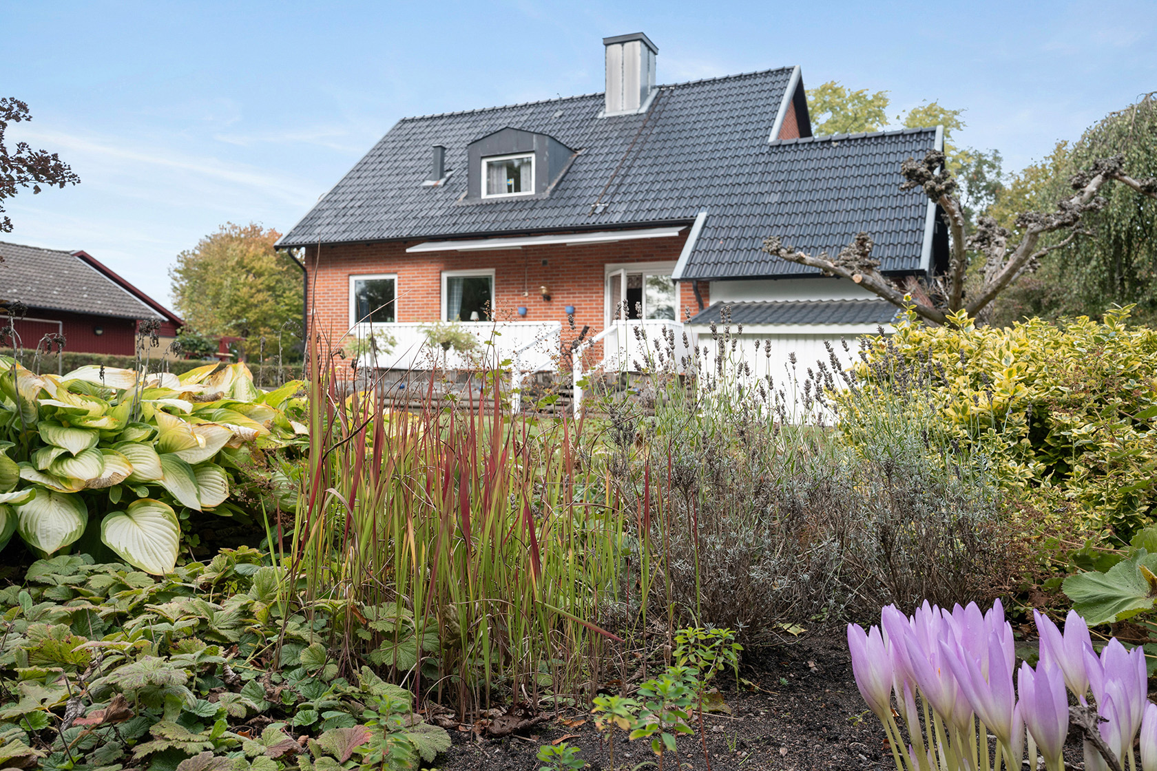 lör 26/9 – bild 18