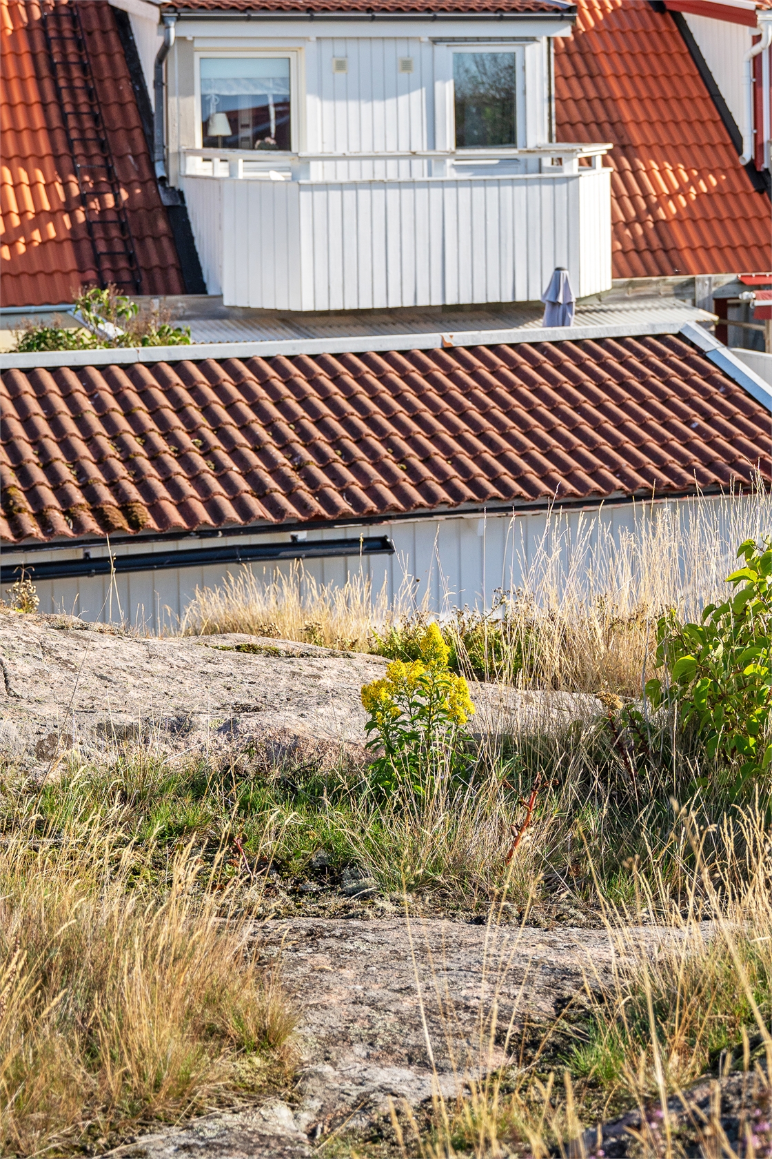 lör 10/10 – bild 13