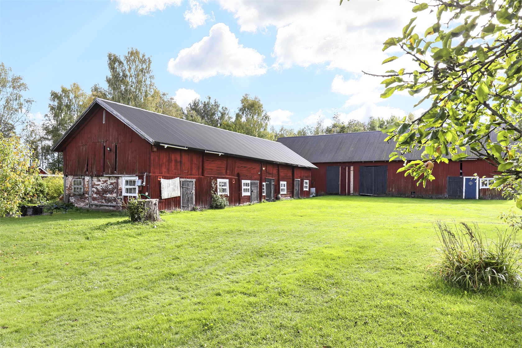 tors 1/10 – bild 2
