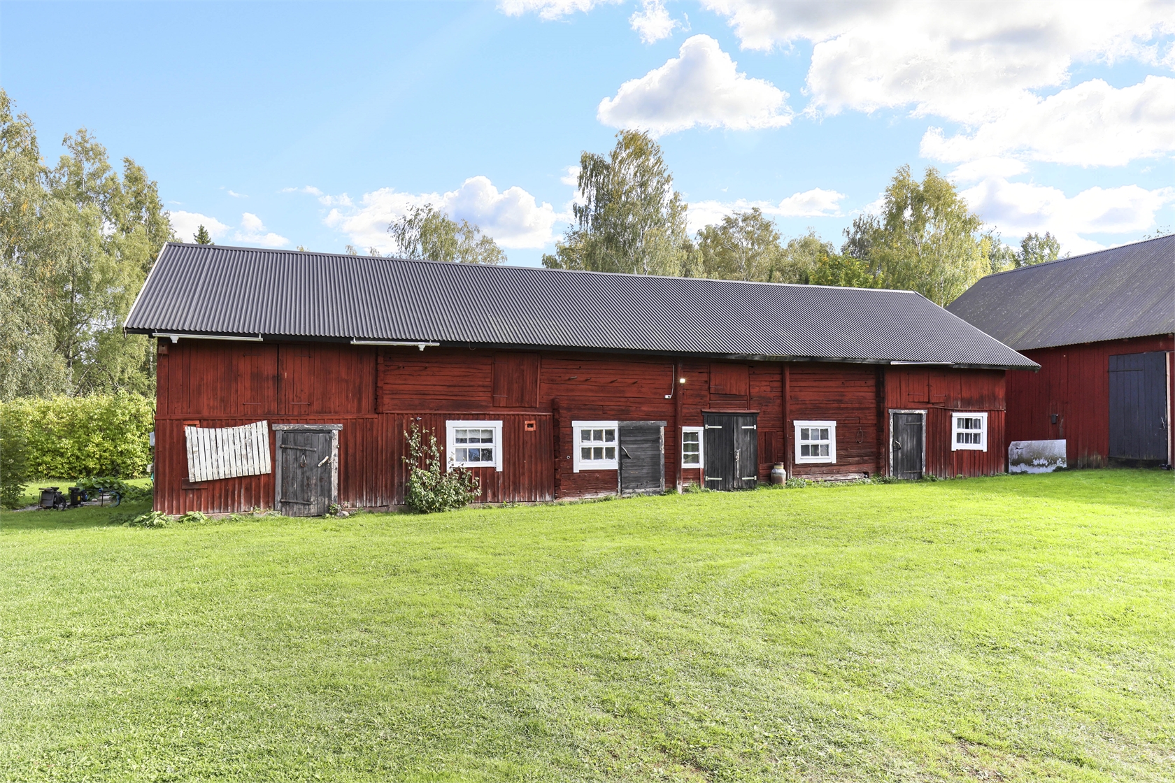tors 1/10 – bild 3