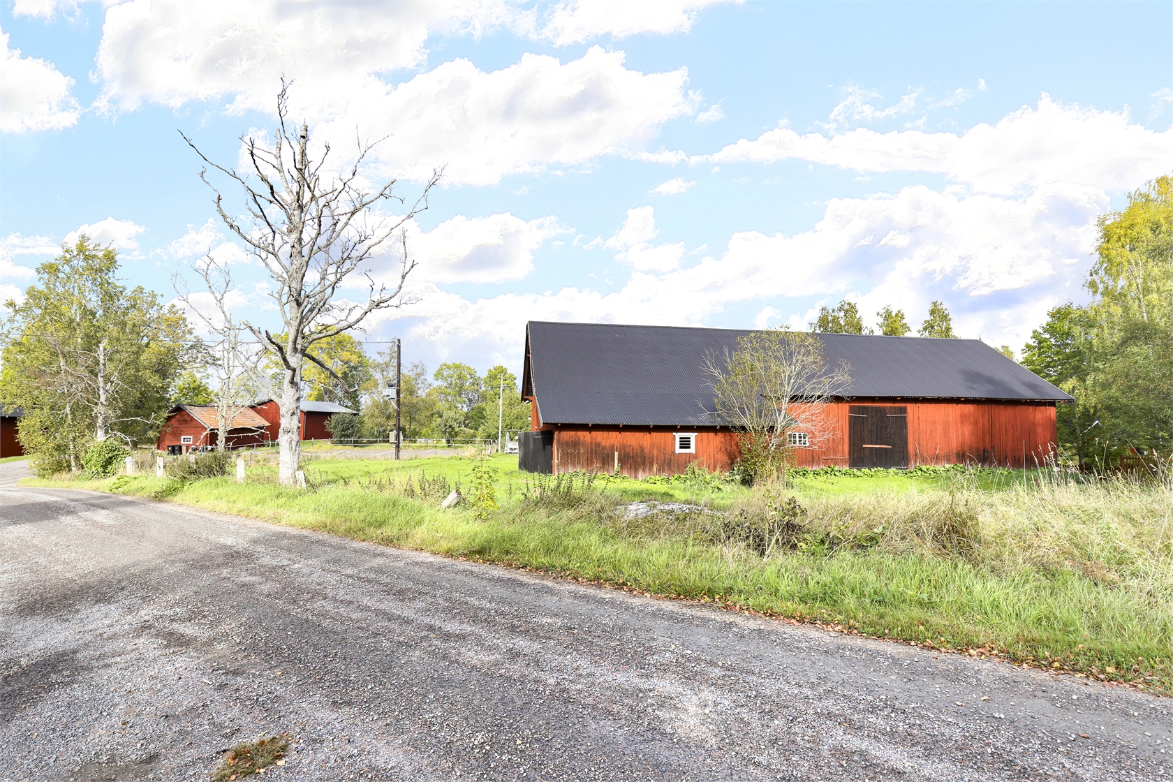 tors 1/10 – bild 33