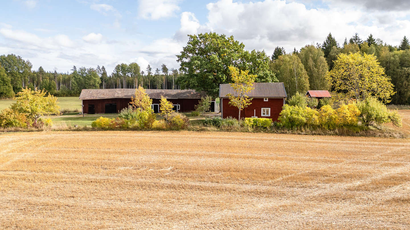 lör 10/10 – bild 28