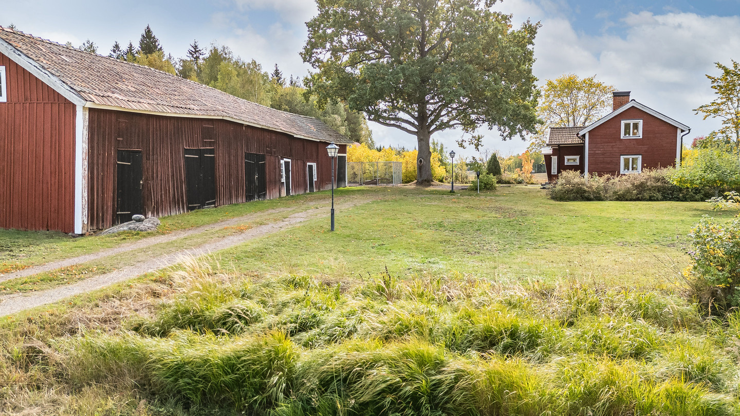 lör 10/10 – bild 29