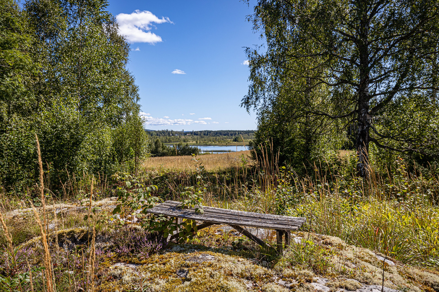 tors 1/10 – bild 24