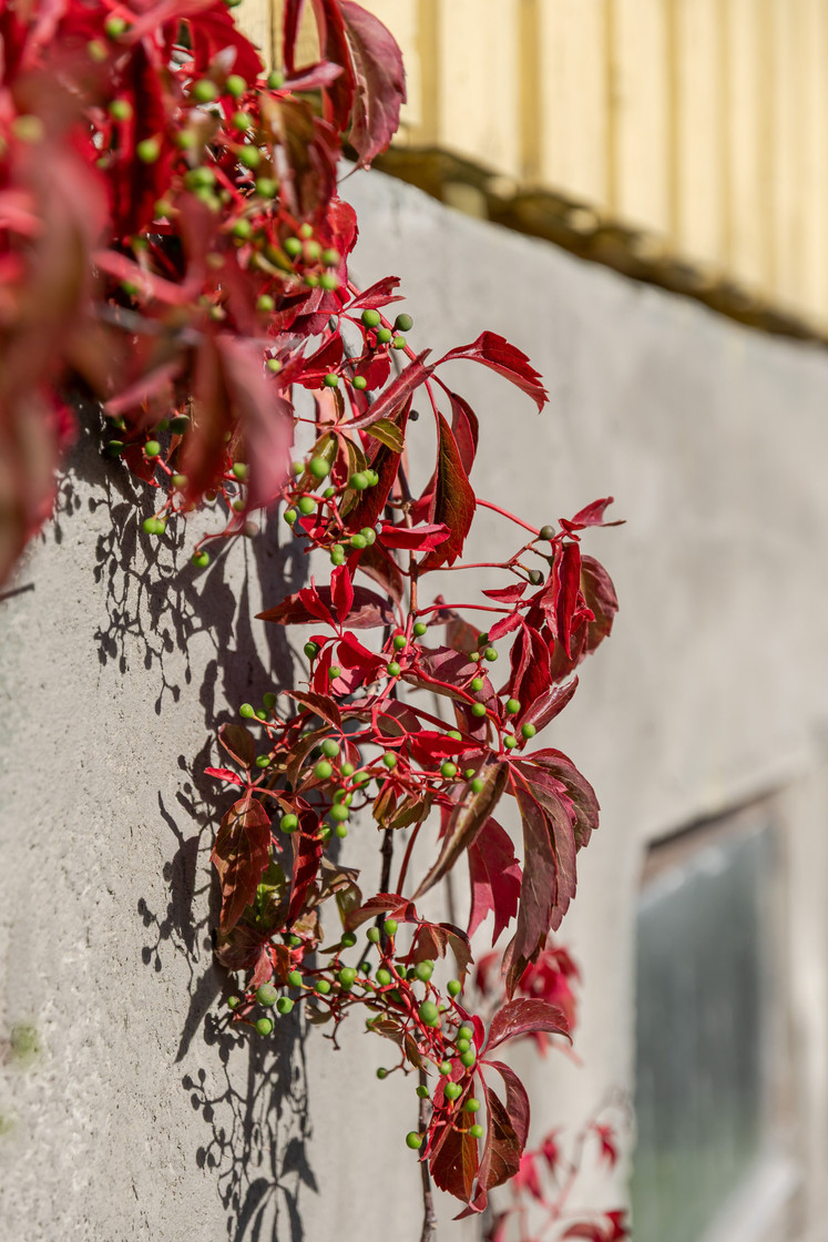 ons 30/9 – bild 31