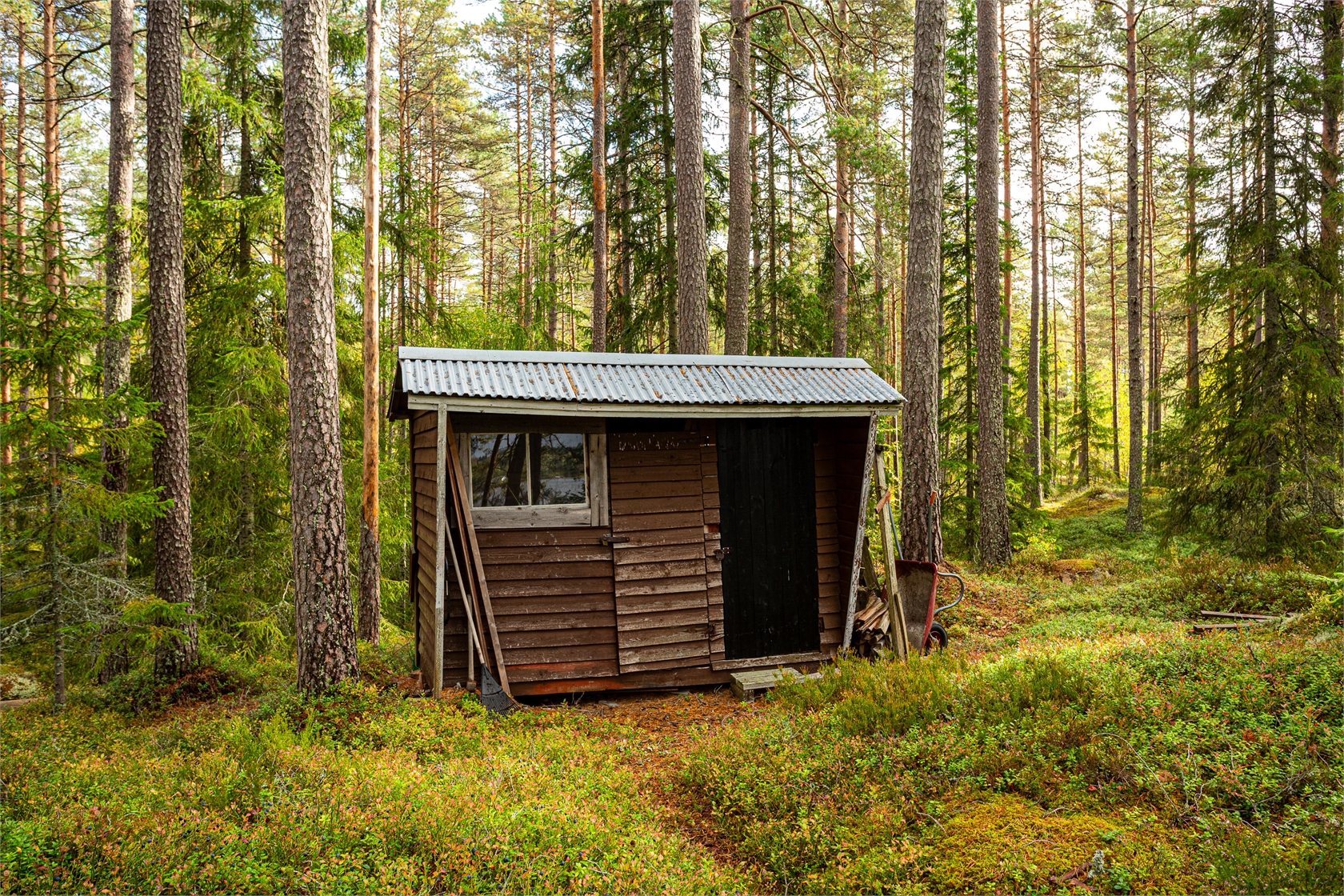 lör 3/10 – bild 42