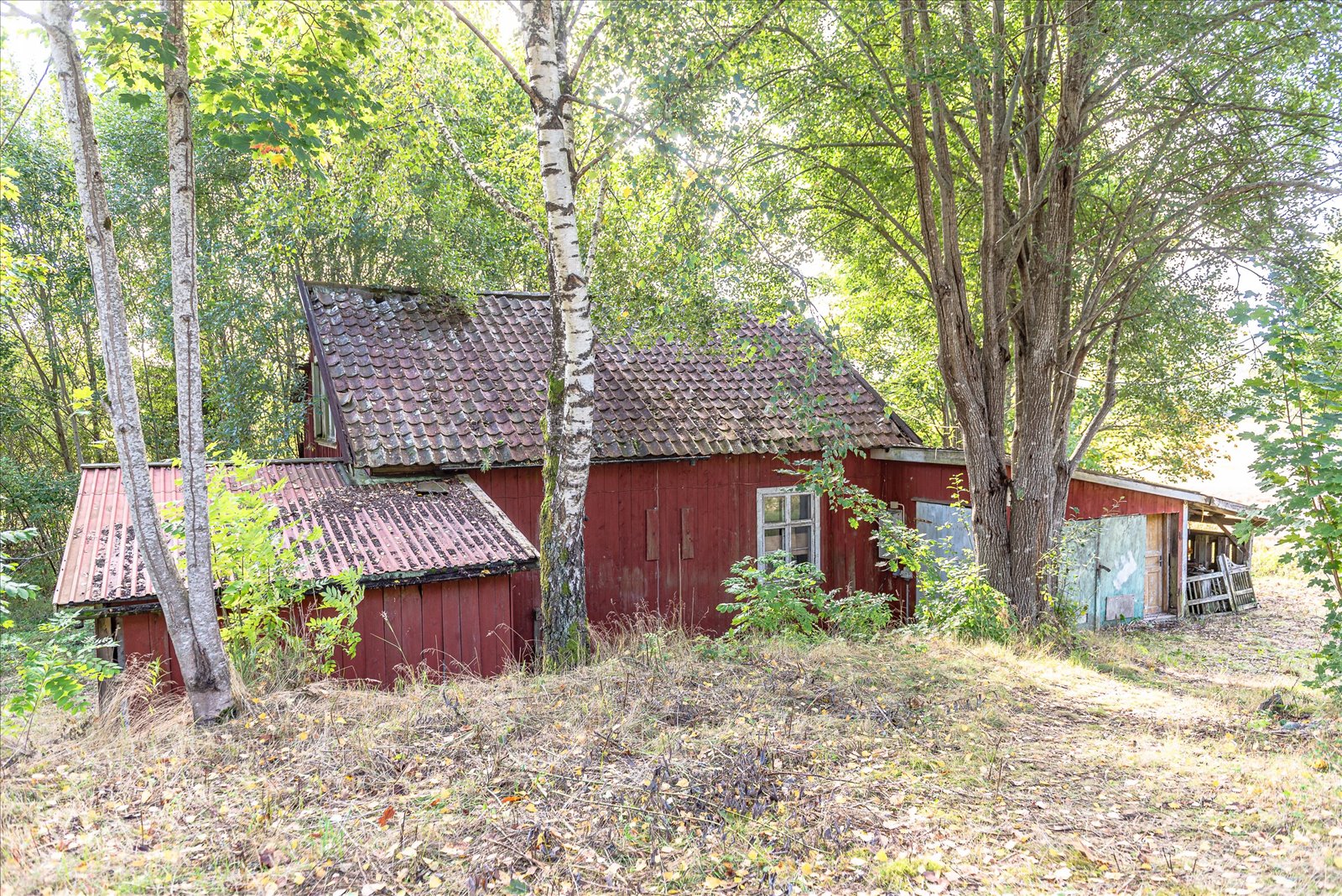 Se fler – bild 24