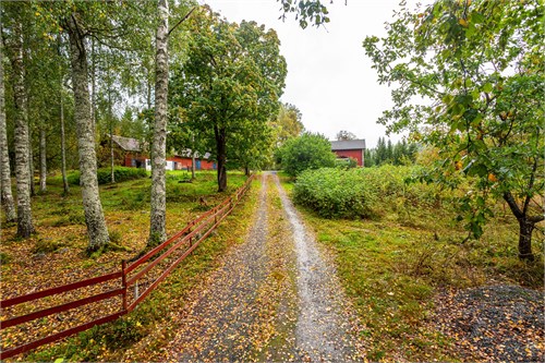 Skärhyttan Norra Torpet 305