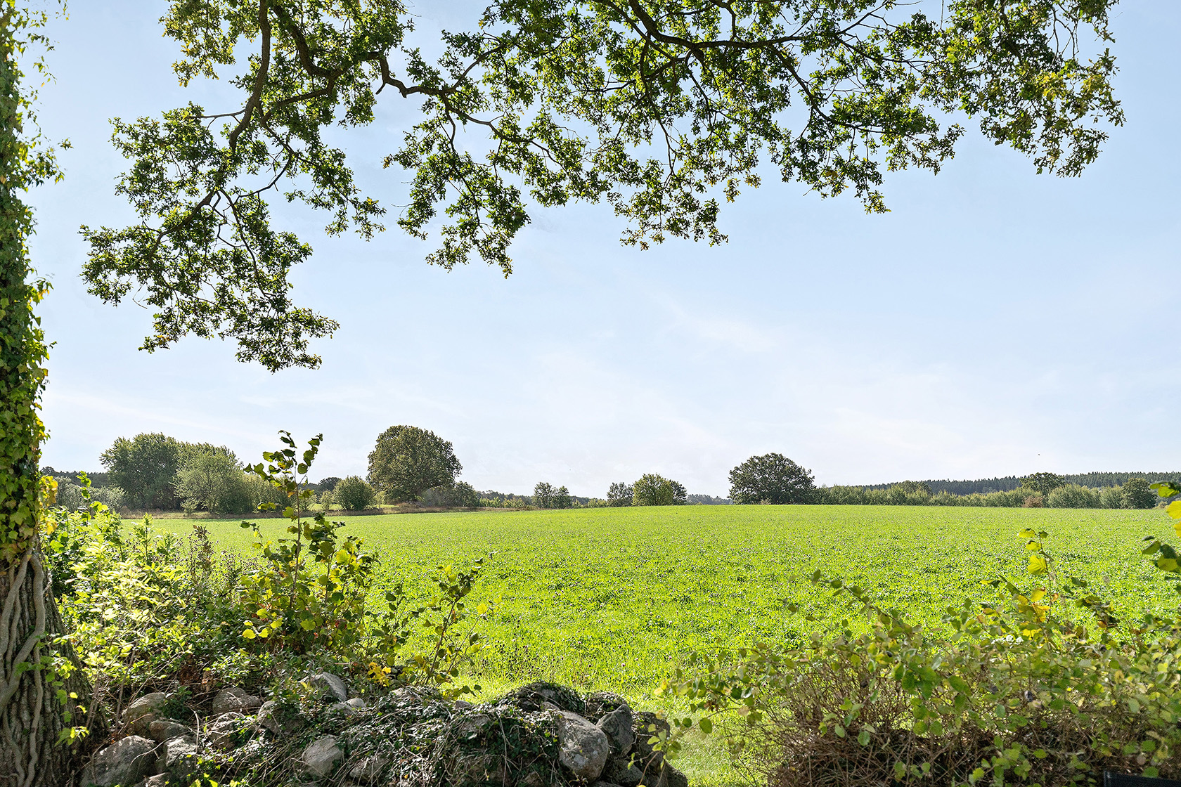 tors 1/10 – bild 19