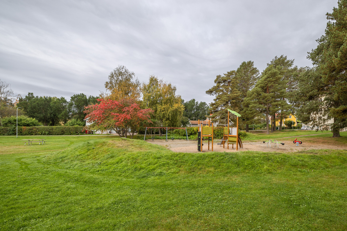 tors 15/10 – bild 26